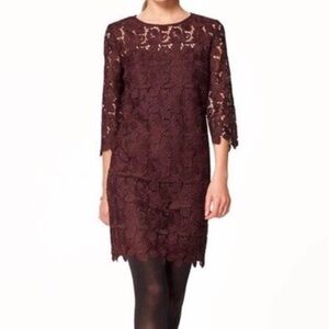 🌟Sale🌟 LOFT Wine Lace Cocktail Dress. EUC. Size 10.